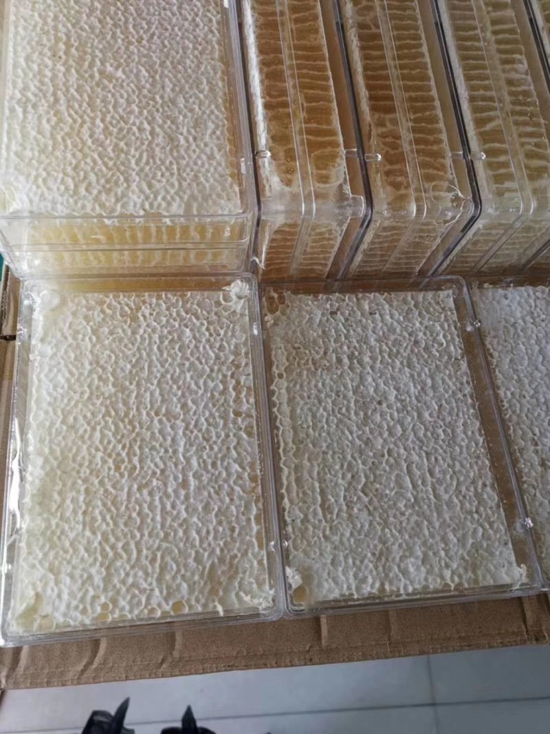 东北黑龙江蜂巢蜜一斤包装，黑龙江发货两斤包邮