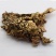 老龙皮可打粉无硫正品专营中药批发
