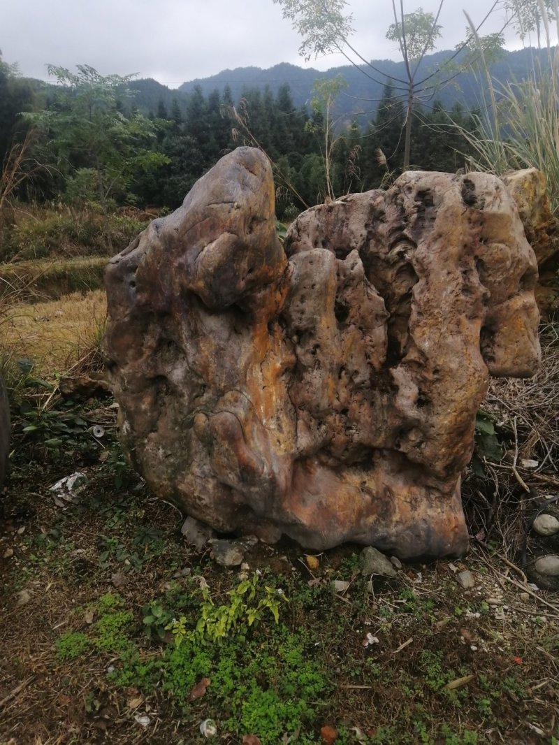 园林石