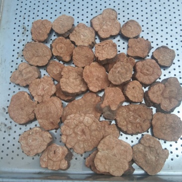 【有好货】江西何首乌片何首乌丁圆片干个子含量达标