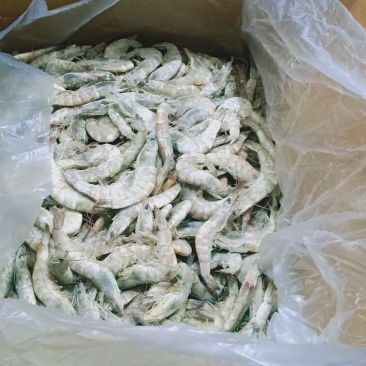 散装盐冻大虾，适合饭店超市和市场散卖