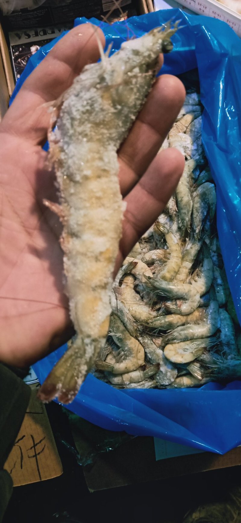 散装盐冻大虾，适合饭店超市和市场散卖