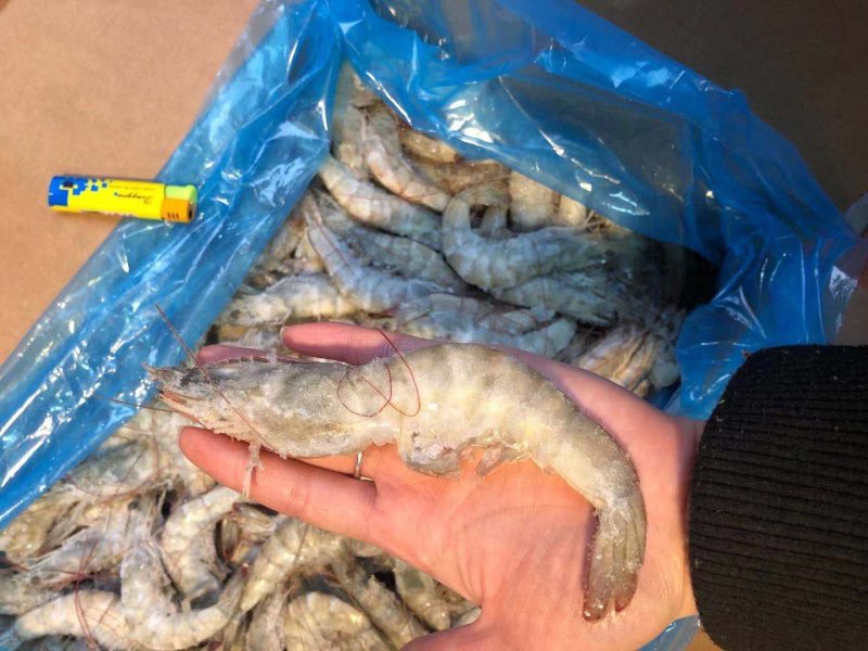 散装盐冻大虾，适合饭店超市和市场散卖