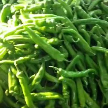 各种蔬菜已经大量上市欢迎新老客户前来合作
