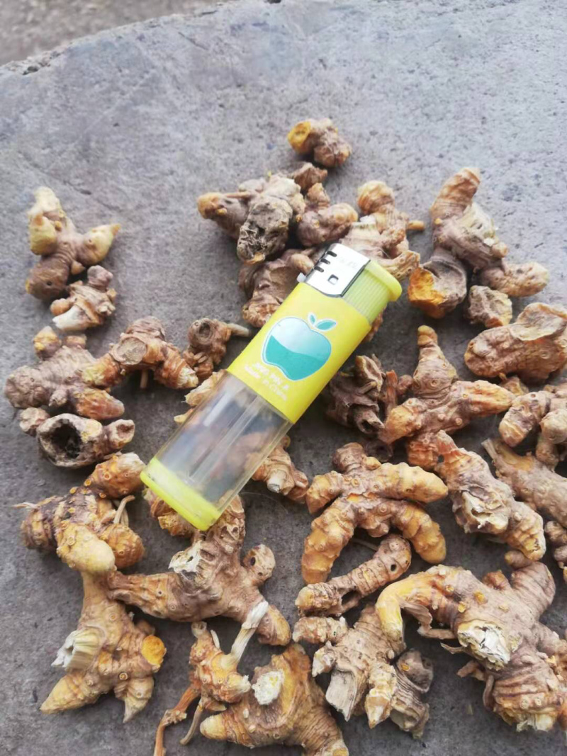 射干苗园林绿化工程，中药材药用