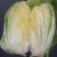 黄心白菜毛菜净菜市场，电商，加工厂，赶大集等