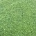 红花醡浆草，醡浆草，四川醡浆草价格，成都醡浆草批发