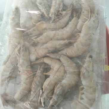 青虾
