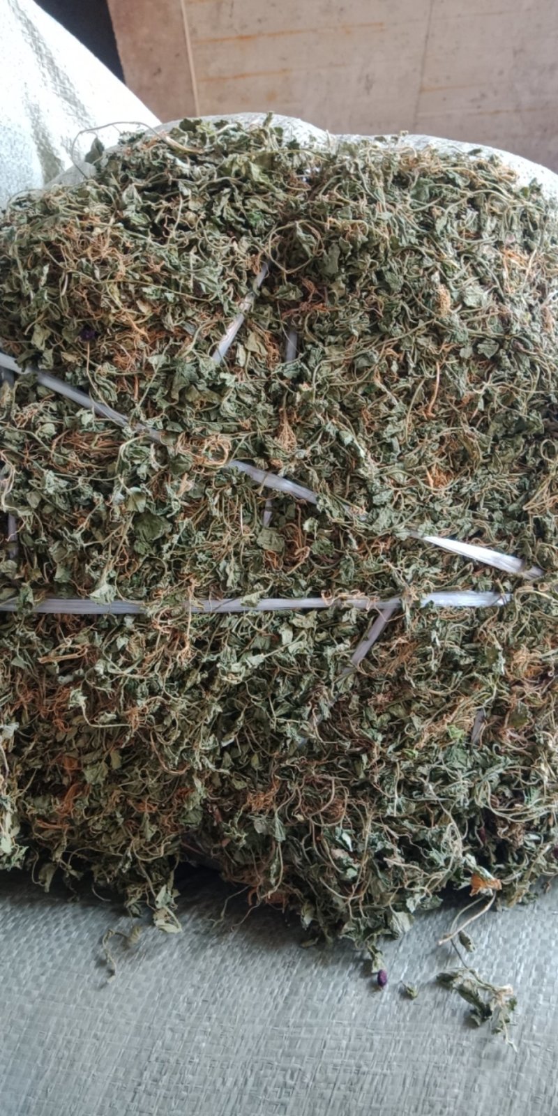 铜锤玉带草，珠珠草，地石榴