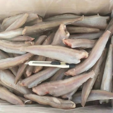 三去鳕鱼，单冻鳕鱼，远洋捕捞