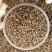 千里香籽七里香籽万里香火锅卤菜香料批发零售各种香料