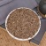 千里香籽七里香籽万里香火锅卤菜香料批发零售各种香料