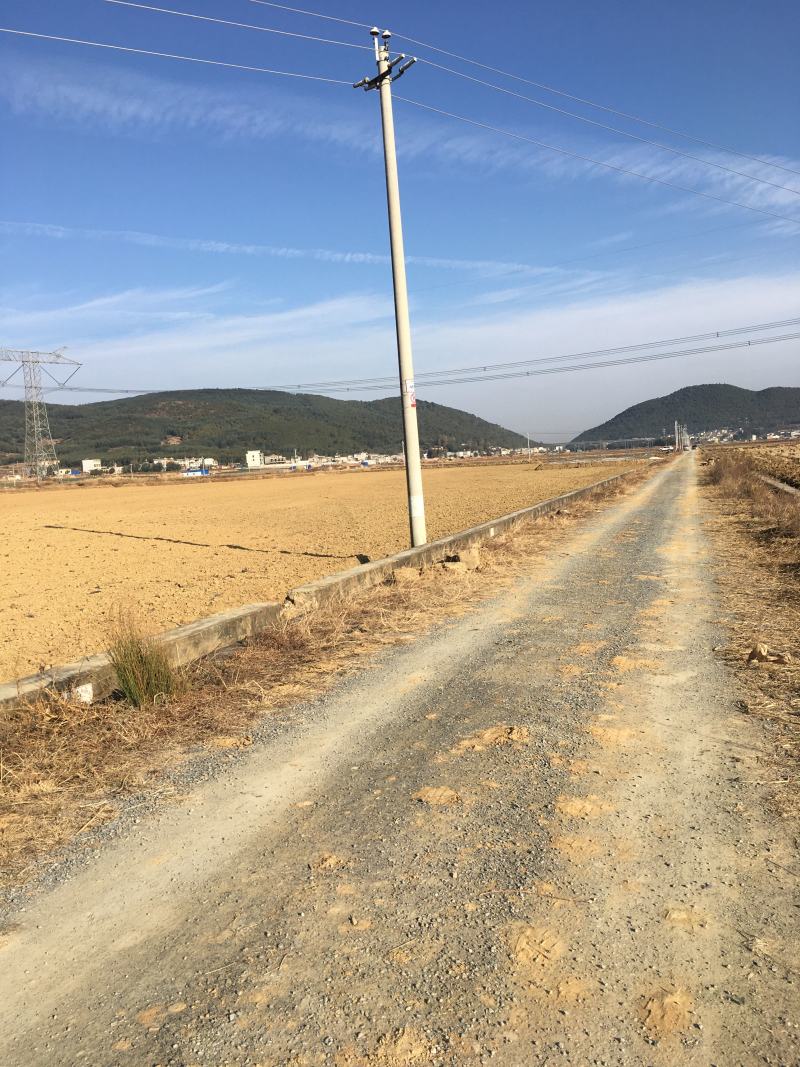 45亩蔬菜用地出租今年即可种植上蔬菜