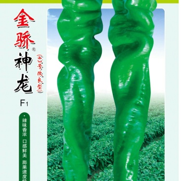 【金骄神龙】大螺丝椒辣椒种子陇椒全国发货
