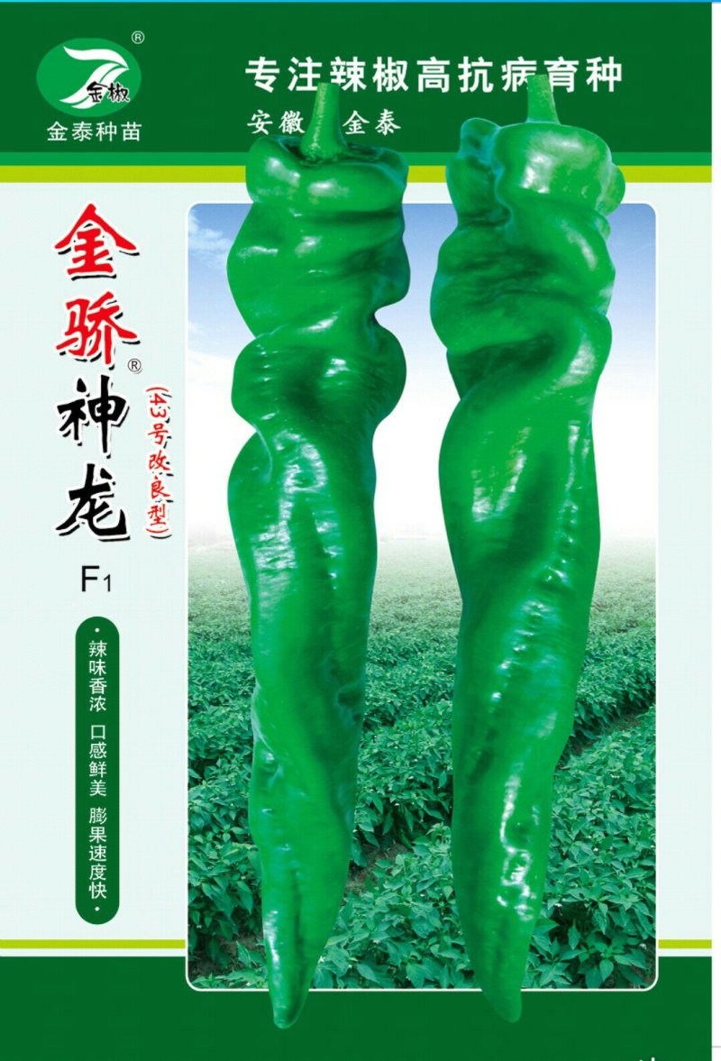 【金骄神龙】大螺丝椒辣椒种子陇椒全国发货