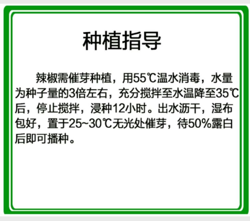 【金骄神龙】大螺丝椒辣椒种子陇椒全国发货