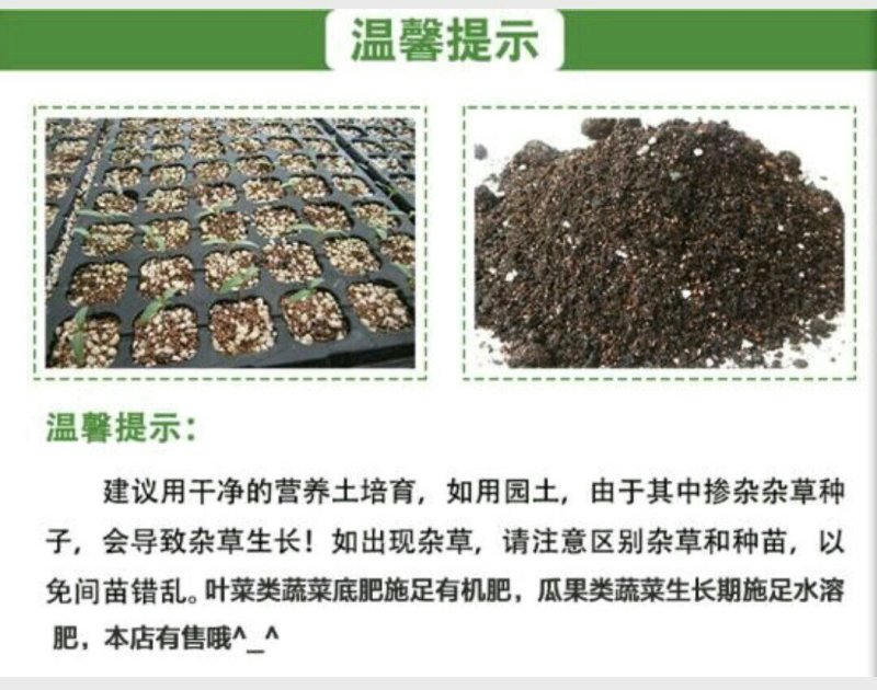 【金骄神龙】大螺丝椒辣椒种子陇椒全国发货