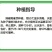 经典螺丝线辣椒种子抗病能力强易成活线椒种子色泽好