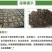 经典螺丝线辣椒种子抗病能力强易成活线椒种子色泽好