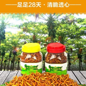 木瓜蜜丝广西横县特产香辣脆爽口厂家直销一件代发支持批发