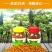 木瓜蜜丝广西横县特产香辣脆爽口厂家直销一件代发支持批发