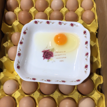土鸡蛋