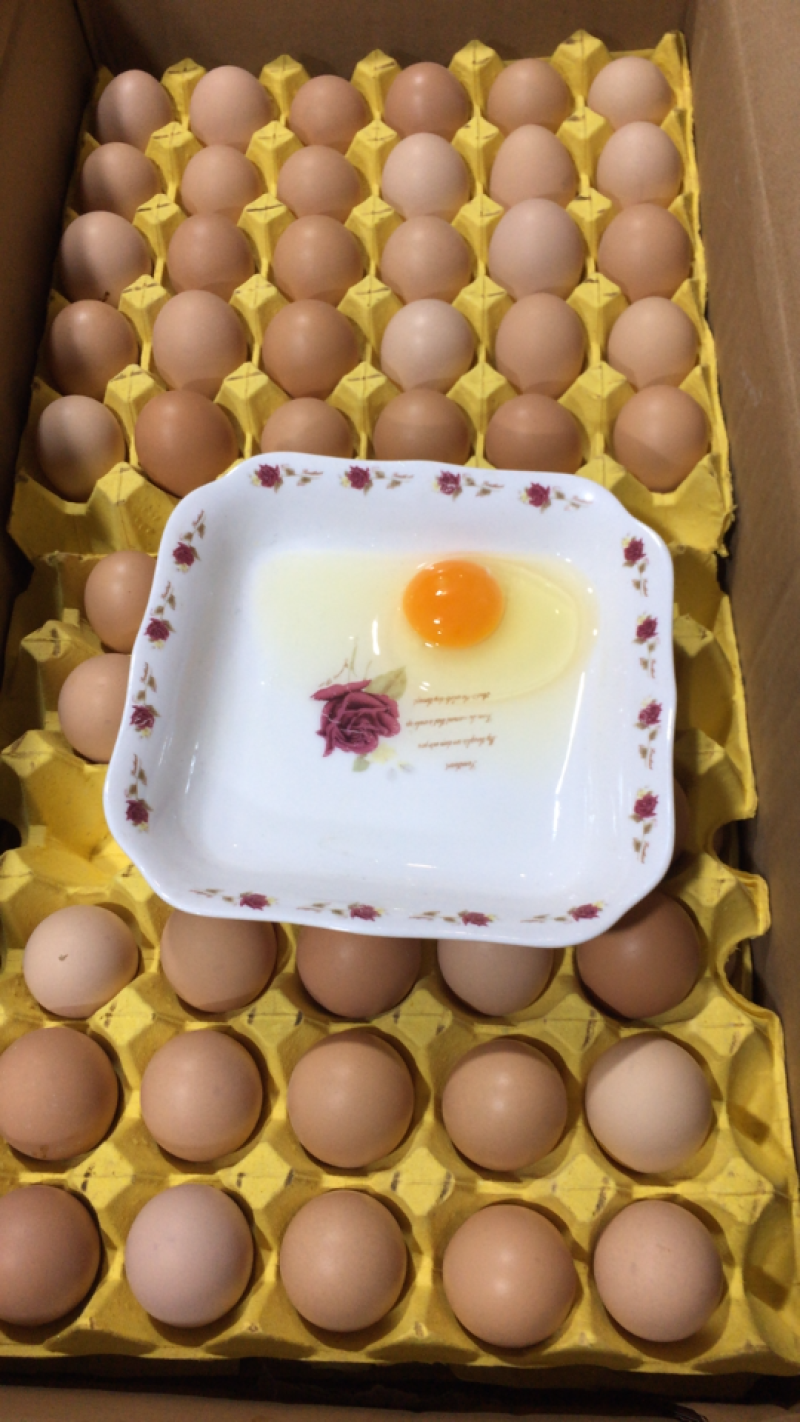 土鸡蛋