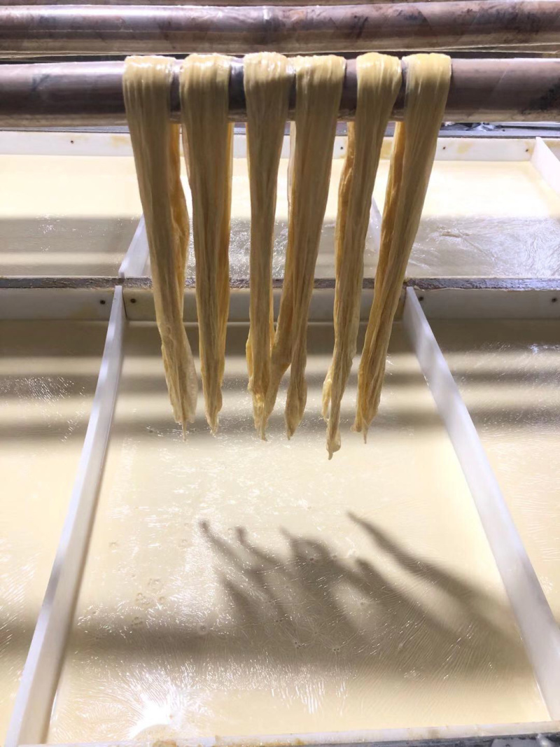 腐竹