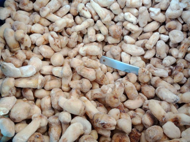 一件代发云南精品食用菌野生菌冻品野生松茸