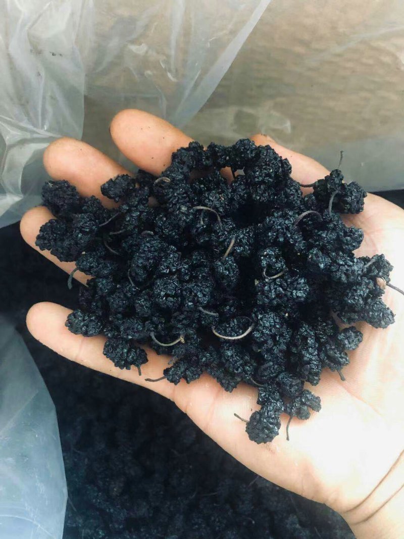 【包邮】桑葚桑椹干桑椹果桑椹子无硫无染色即食