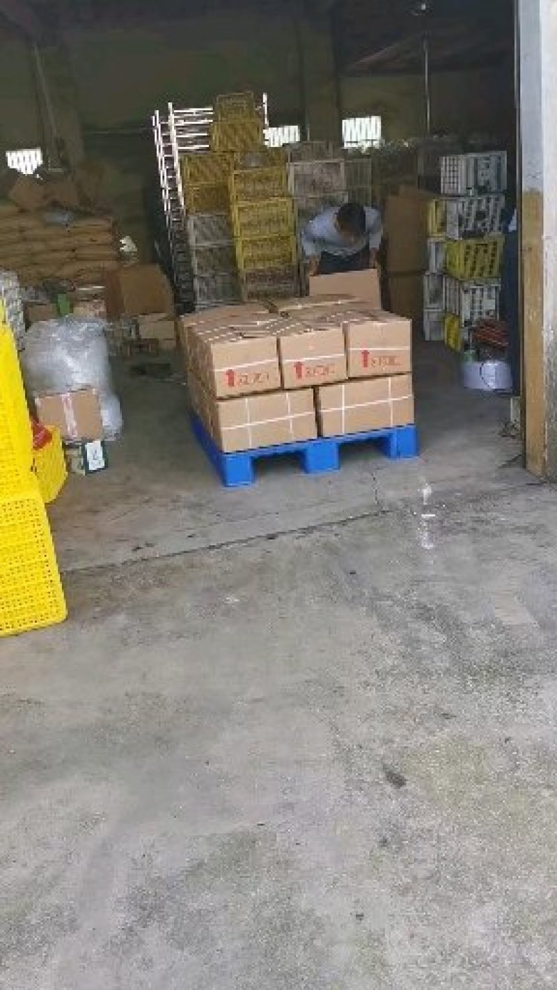 厂家直批发散装川贝桔凉果甘草川贝桔咸金桔金桔干休闲零食