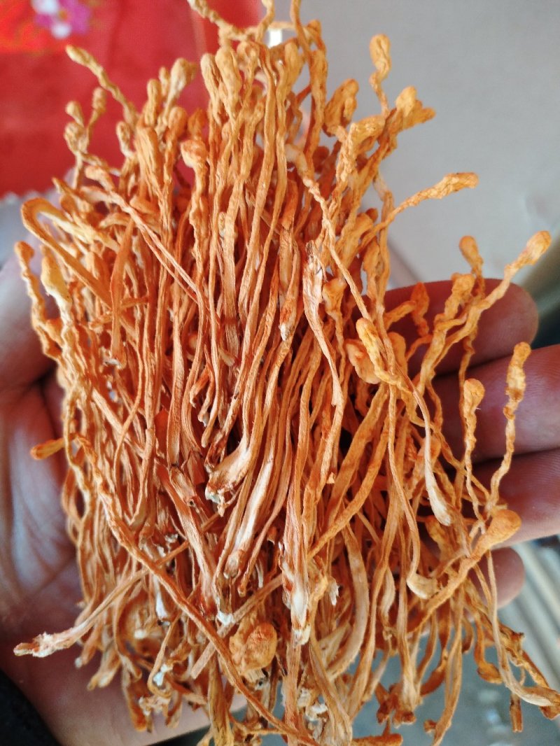 批发零售北虫草虫草花排草，中间干净排列整齐