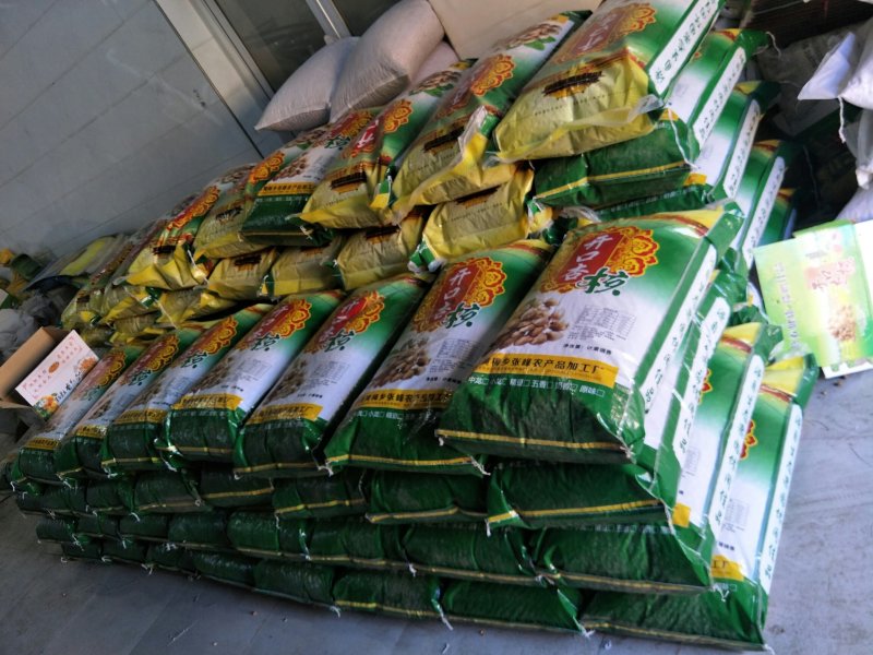 开口杏核小龙8