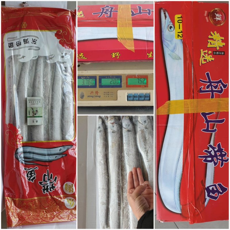 东海带鱼国产带鱼独立包装带鱼舟山小包装带鱼全规格常年供货