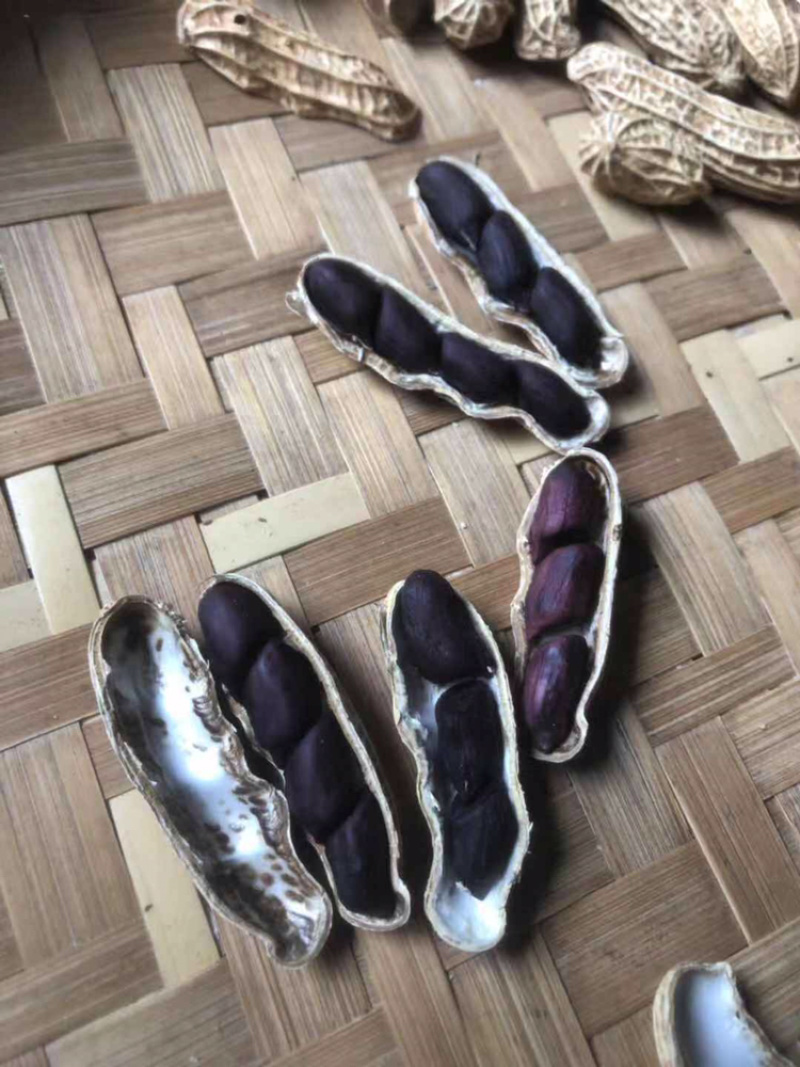黑色花生云南富硒黑花生