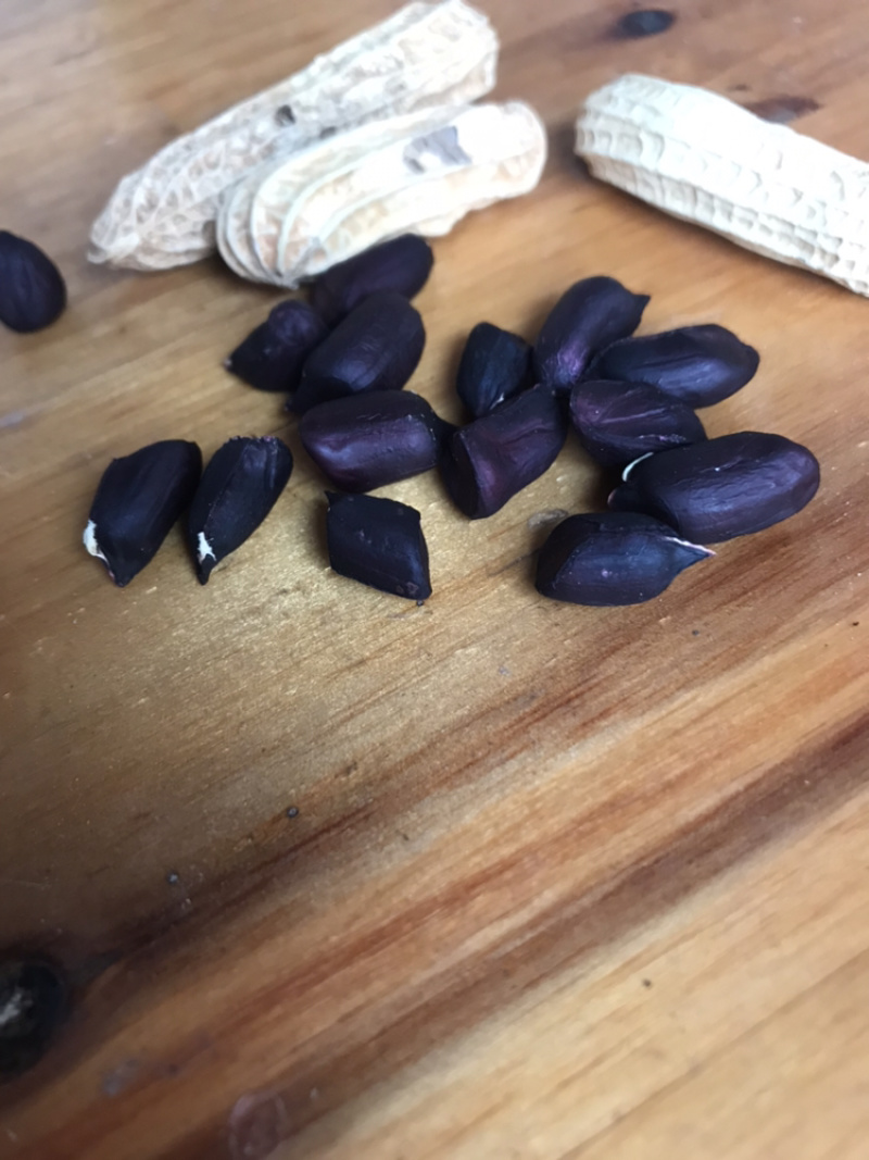 黑色花生云南富硒黑花生