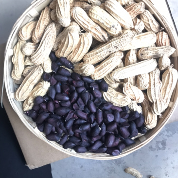 黑色花生云南富硒黑花生