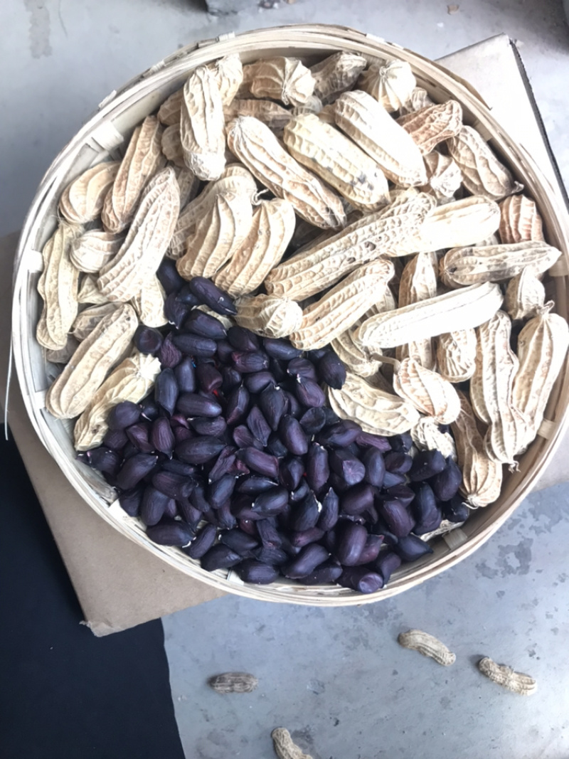黑色花生云南富硒黑花生
