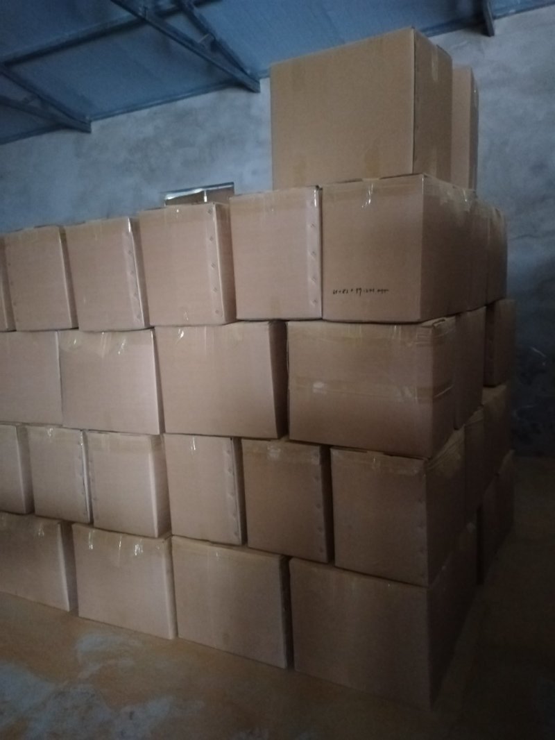 大米虫草花虫草素含量高，优质大米草虫草花出售