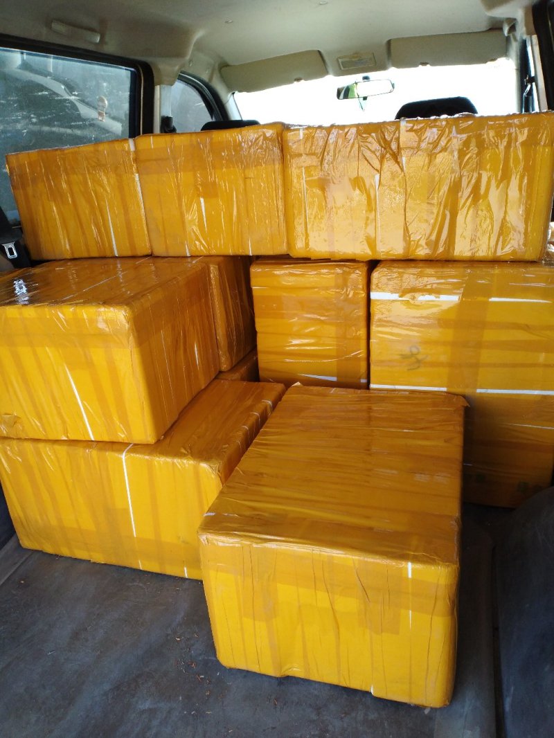 新鲜采摘虫草花5斤袋装冷藏发货，保证产品的新鲜度