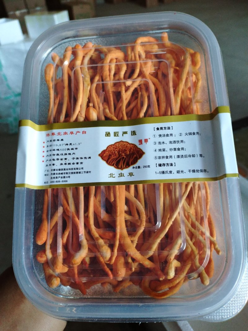 新鲜采摘虫草花5斤袋装冷藏发货，保证产品的新鲜度