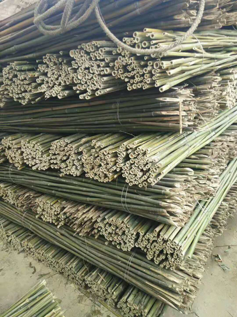 竹杆，豆角架，菜架竹，大量批发，竹片，竹羊床
