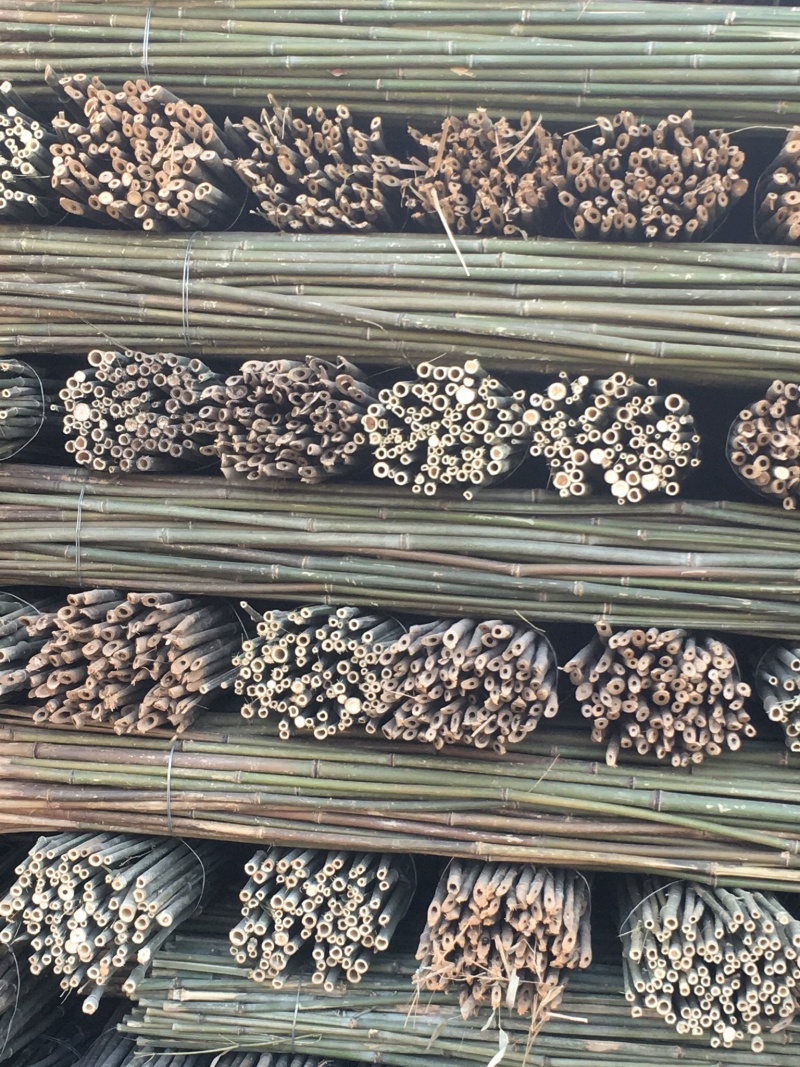竹杆，豆角架，菜架竹，大量批发，竹片，竹羊床