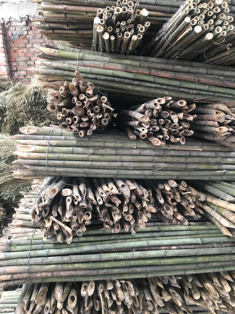 竹杆，豆角架，菜架竹，大量批发，竹片，竹羊床