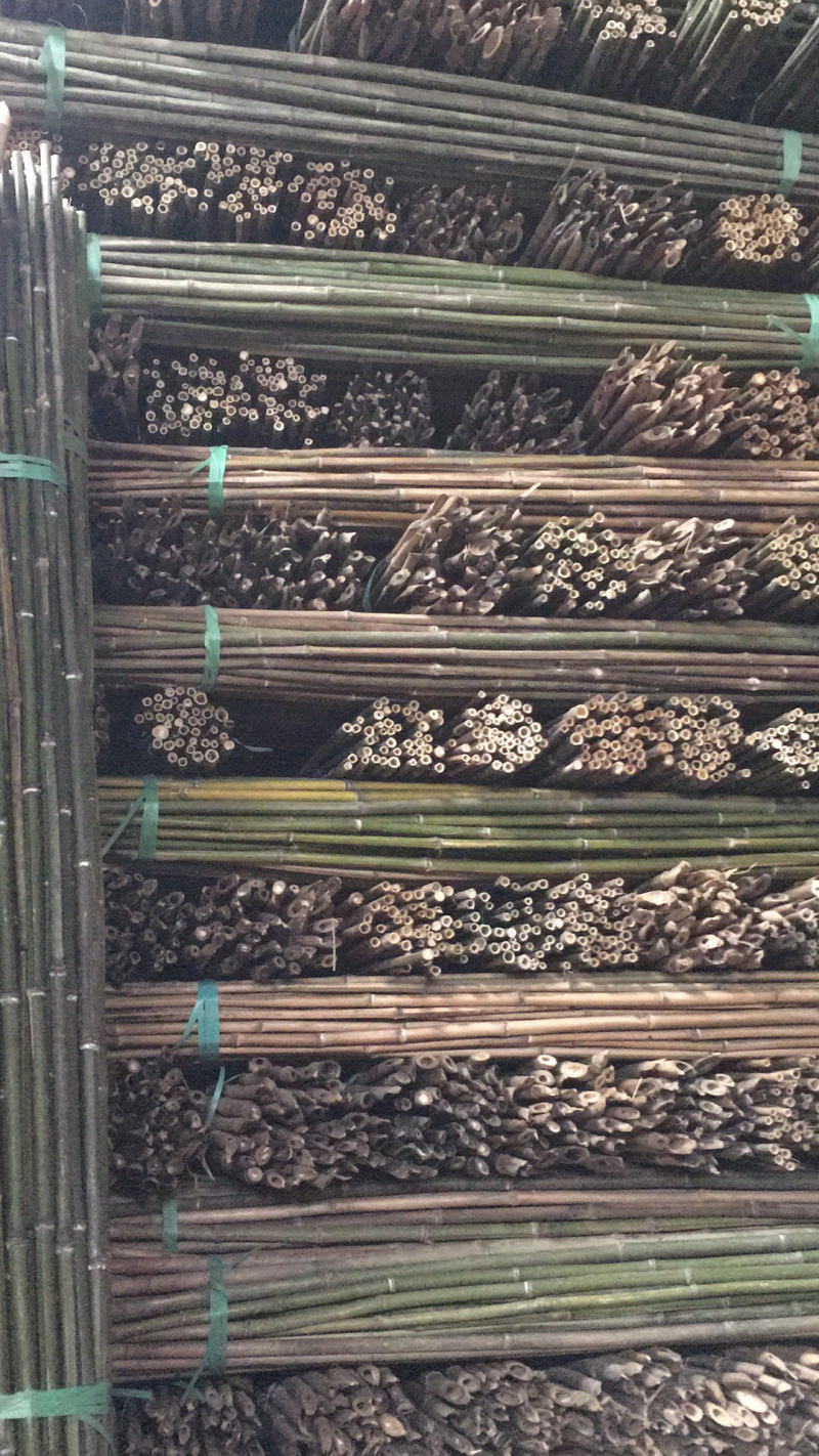 竹杆，豆角架，菜架竹，大量批发，竹片，竹羊床