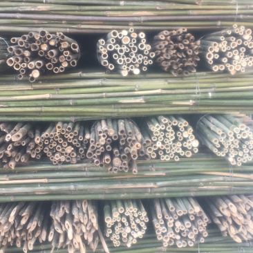 竹杆，豆角架，菜架竹，大量批发，竹片，竹羊床