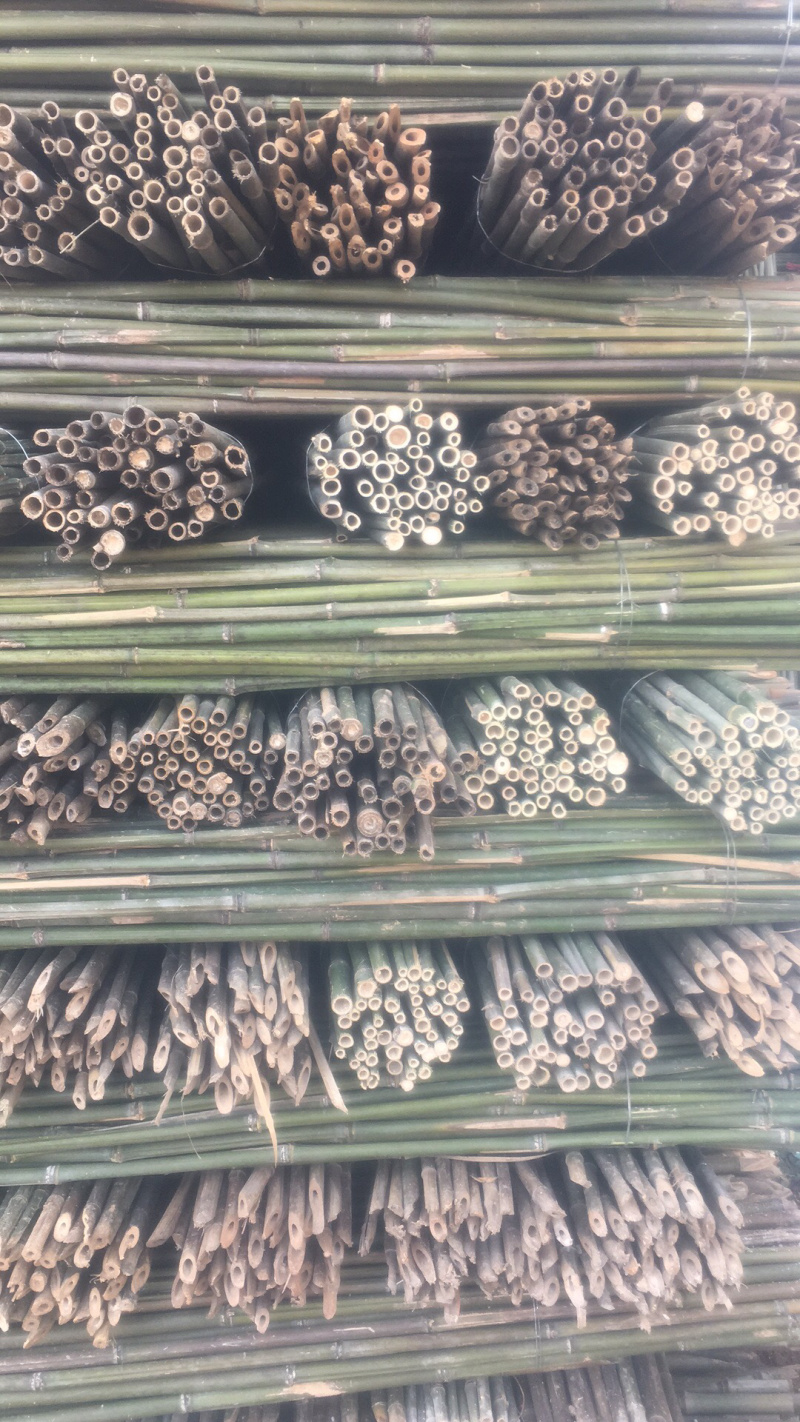 竹杆，豆角架，菜架竹，大量批发，竹片，竹羊床