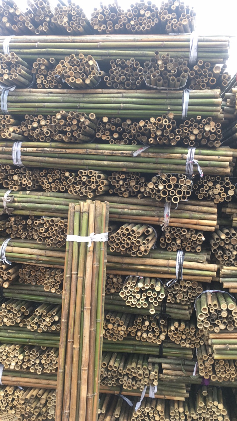 竹杆，豆角架，菜架竹，大量批发，竹片，竹羊床