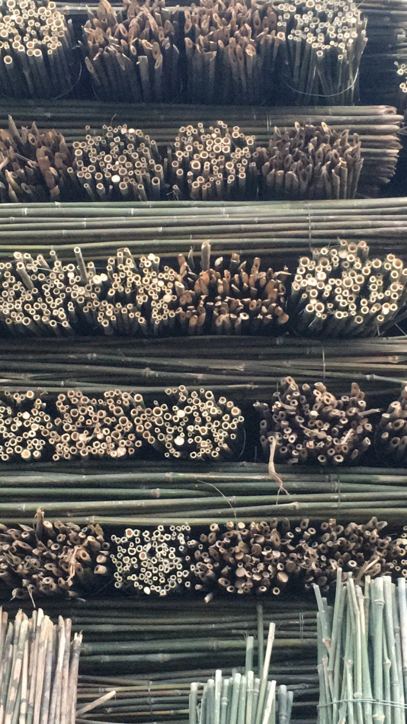 竹杆，豆角架，菜架竹，大量批发，竹片，竹羊床