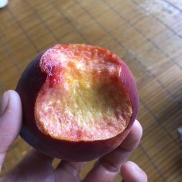 非洲黑妹